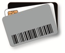 Carte RFID UHF Zebra (NXPG2XM) en PVC 30 MIL