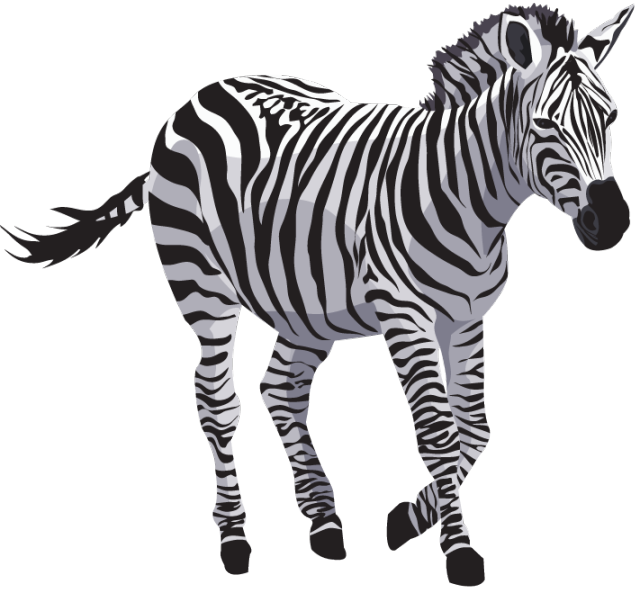 Zebra CAPTV RÉF. LONG M3 À ENFONCER