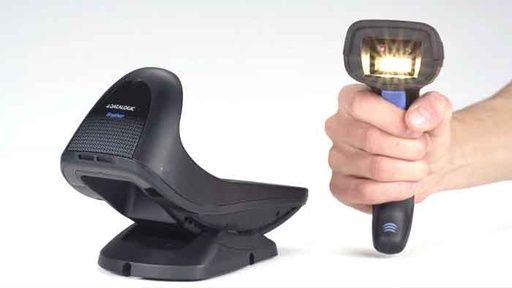 Datalogic Gryphon GM4500